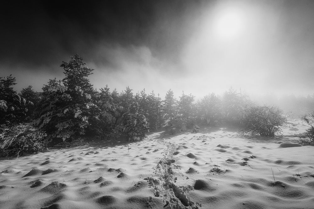 Photograph by Дмитров Андрей