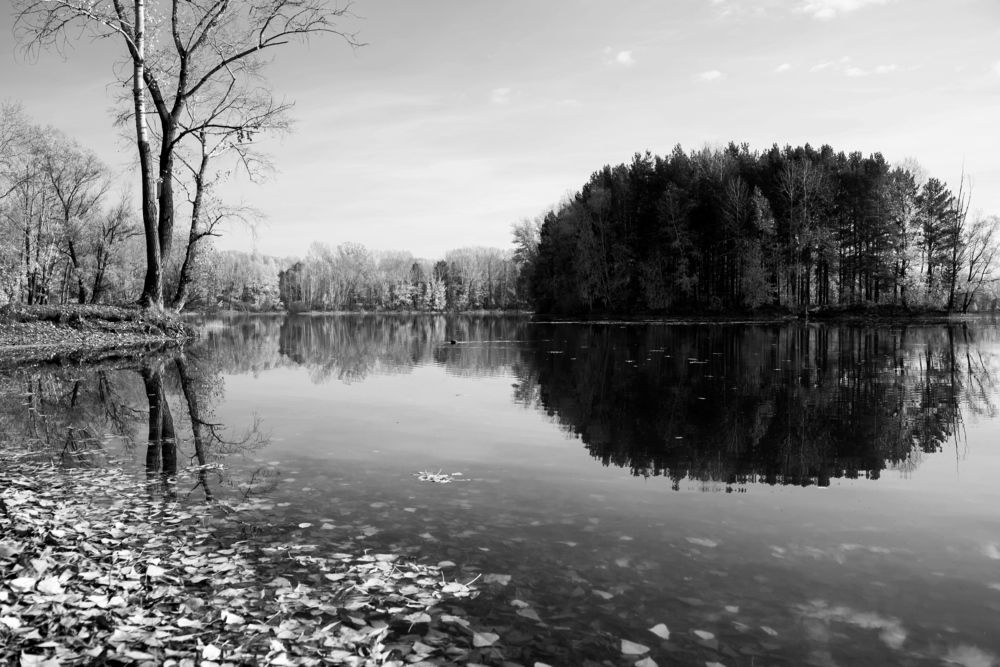 Photograph by Наталья Сорокина