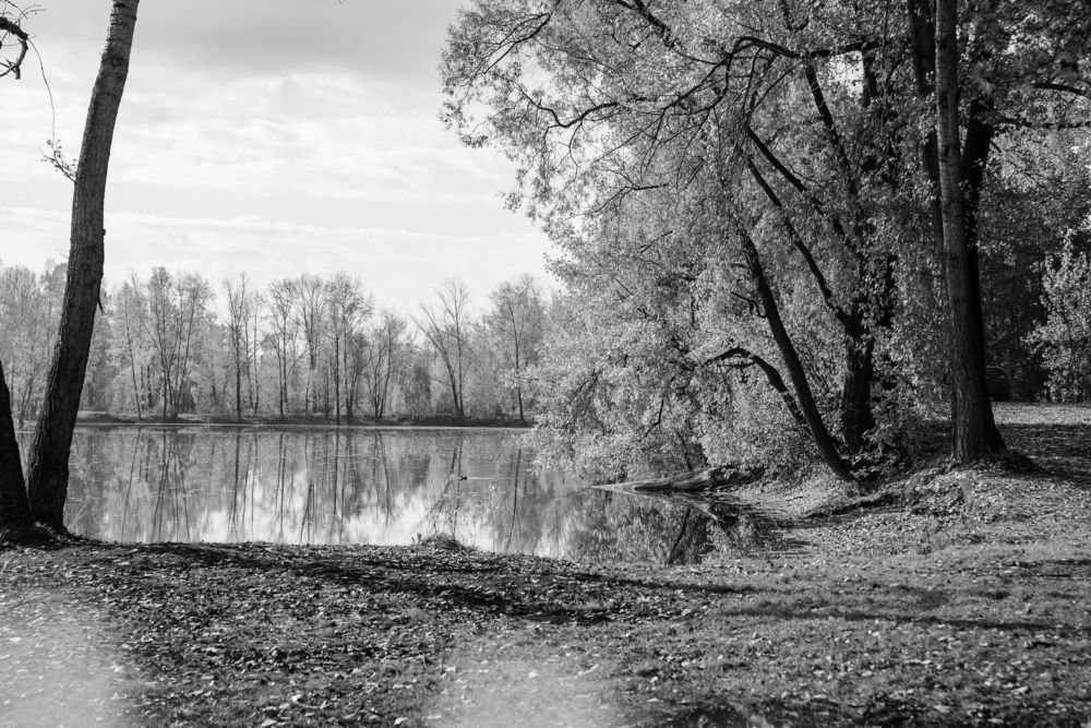 Photograph by Наталья Сорокина