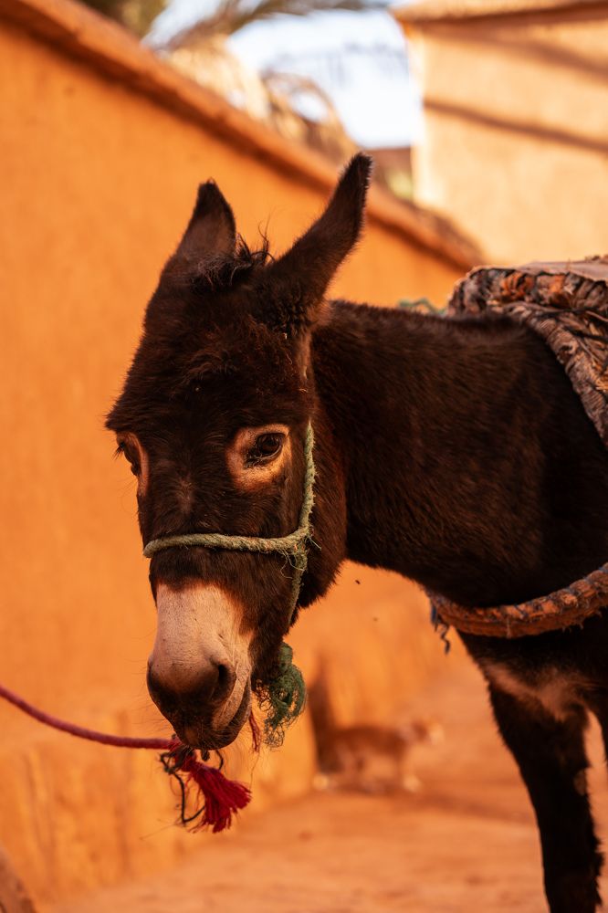 Photograph by Илья Варин