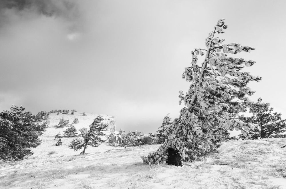 после снежного шторма