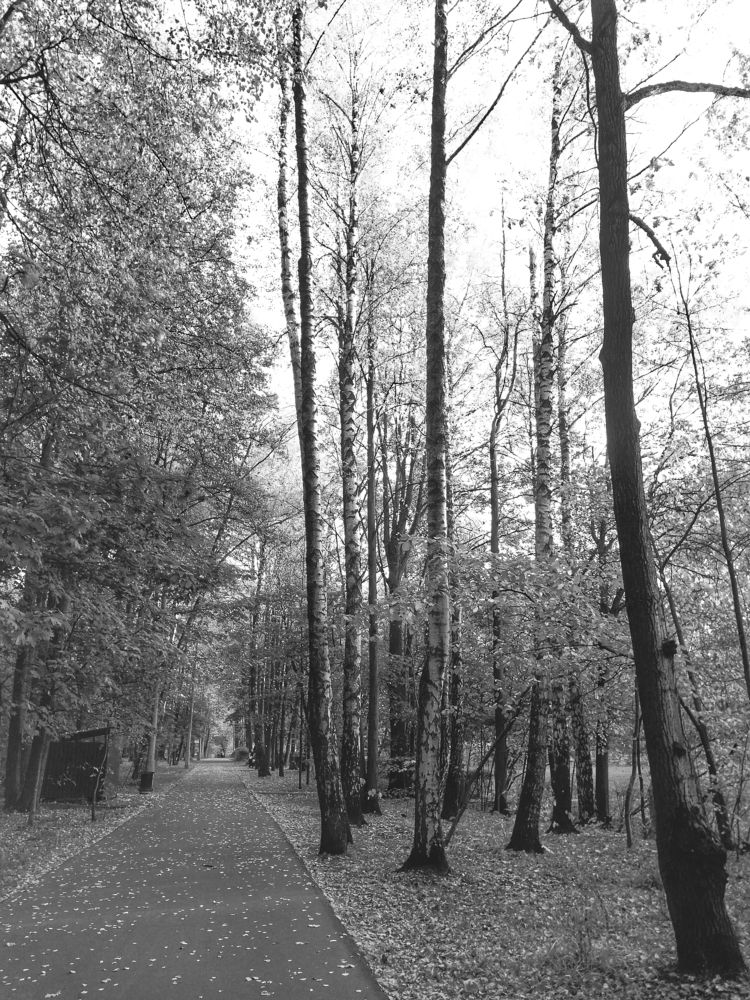 Photograph by Анна Авилочкина