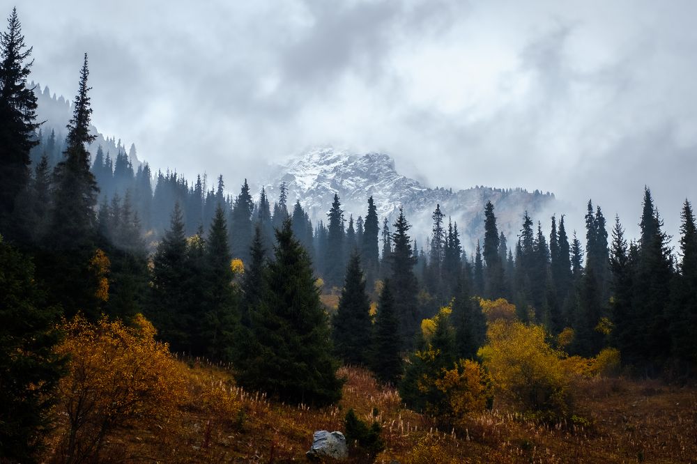 Photograph by Алексей Баженов