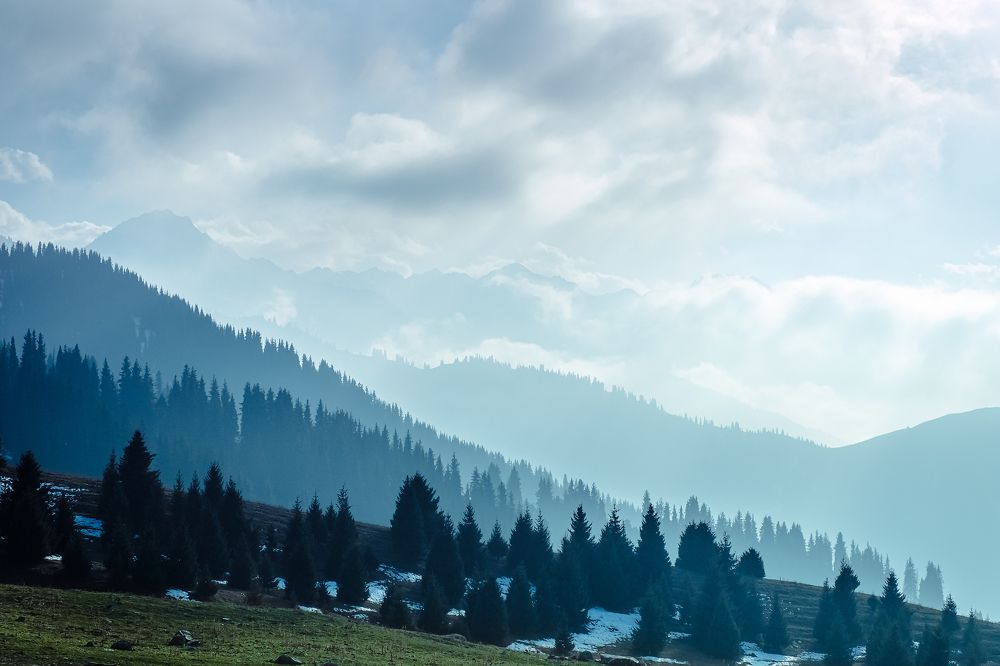 Photograph by Алексей Баженов