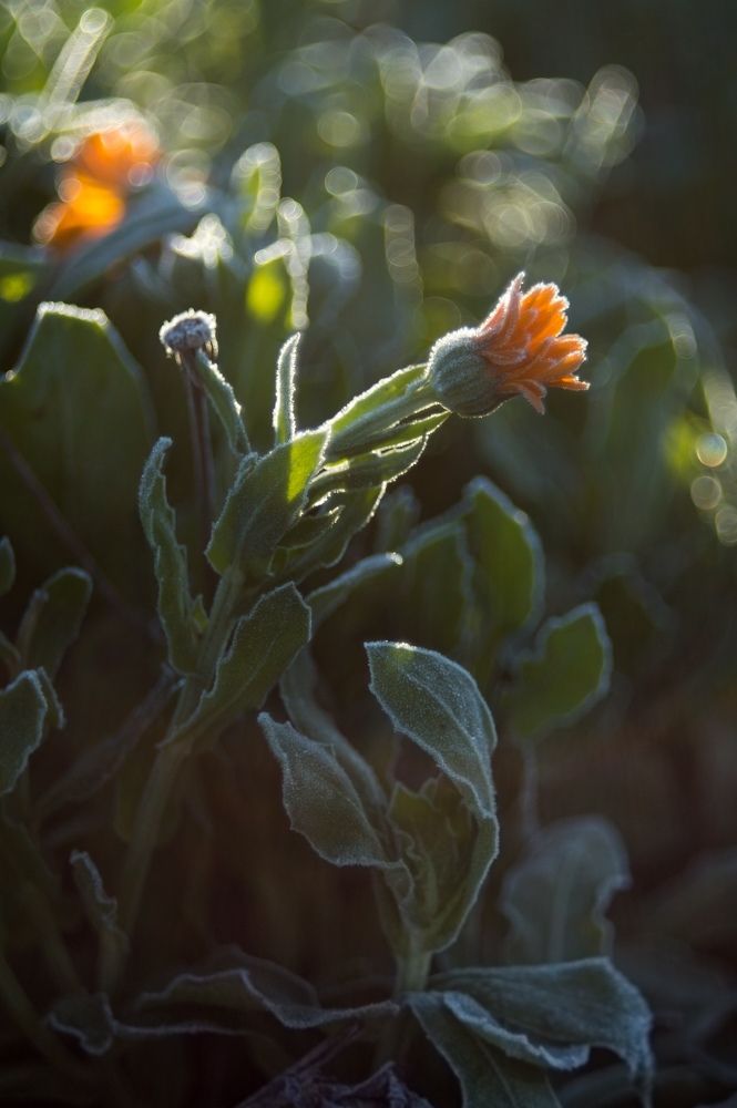 Photograph by Анастасия