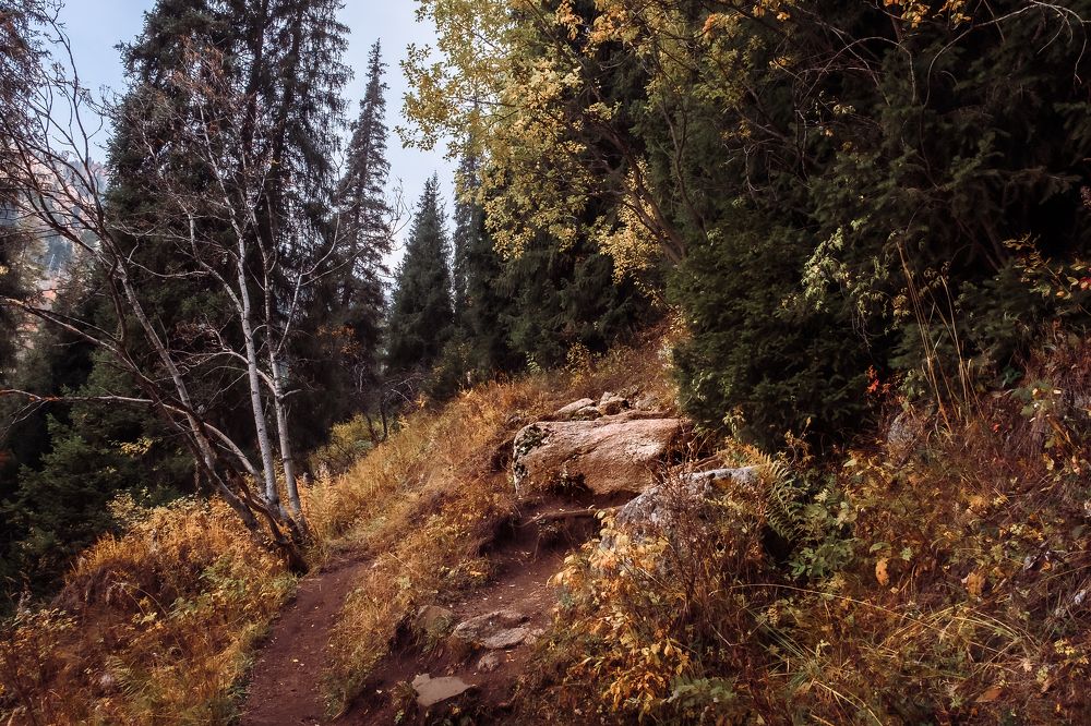 Photograph by Алексей Баженов