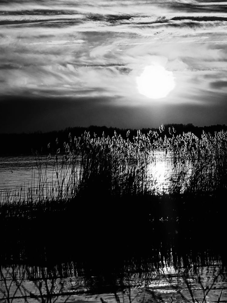 Photograph by Anna Krivorucko