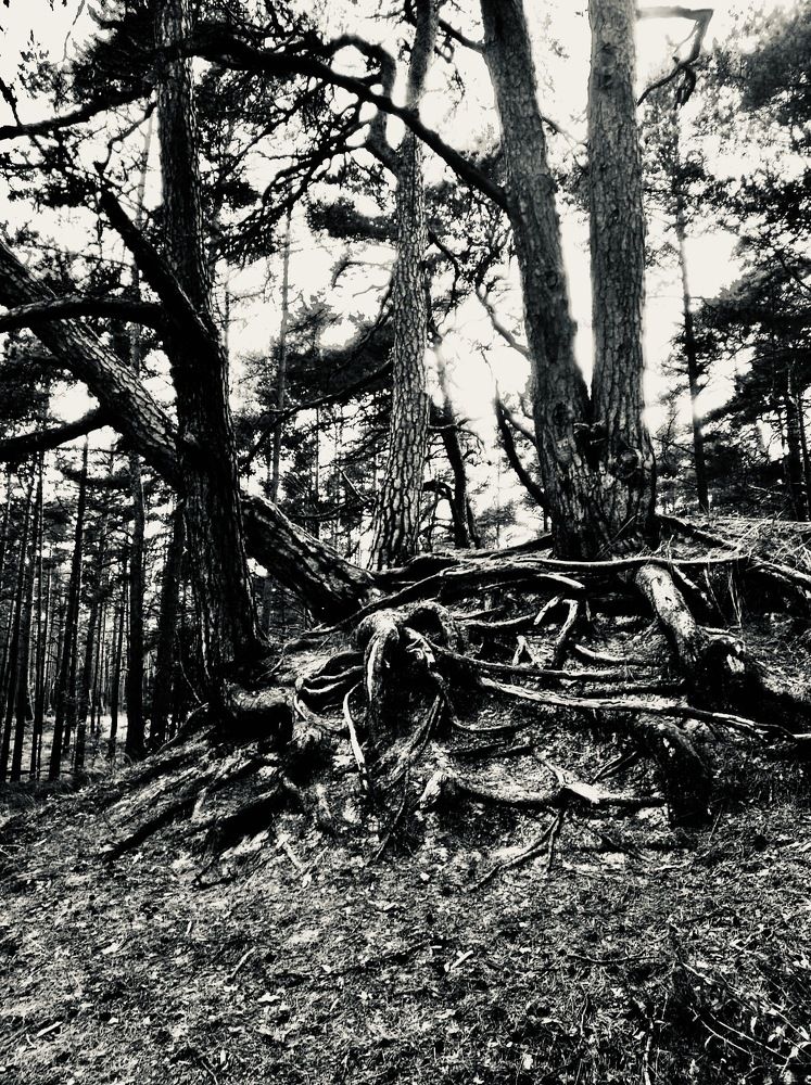 Photograph by Anna Krivorucko