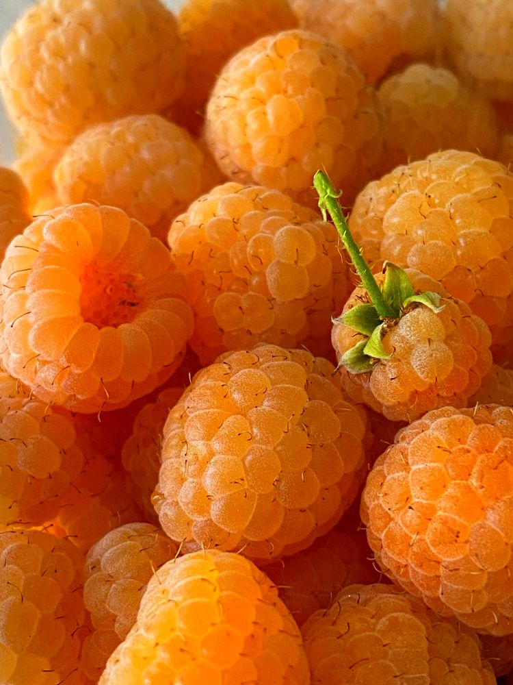 Фотография автора Екатерина Круглик