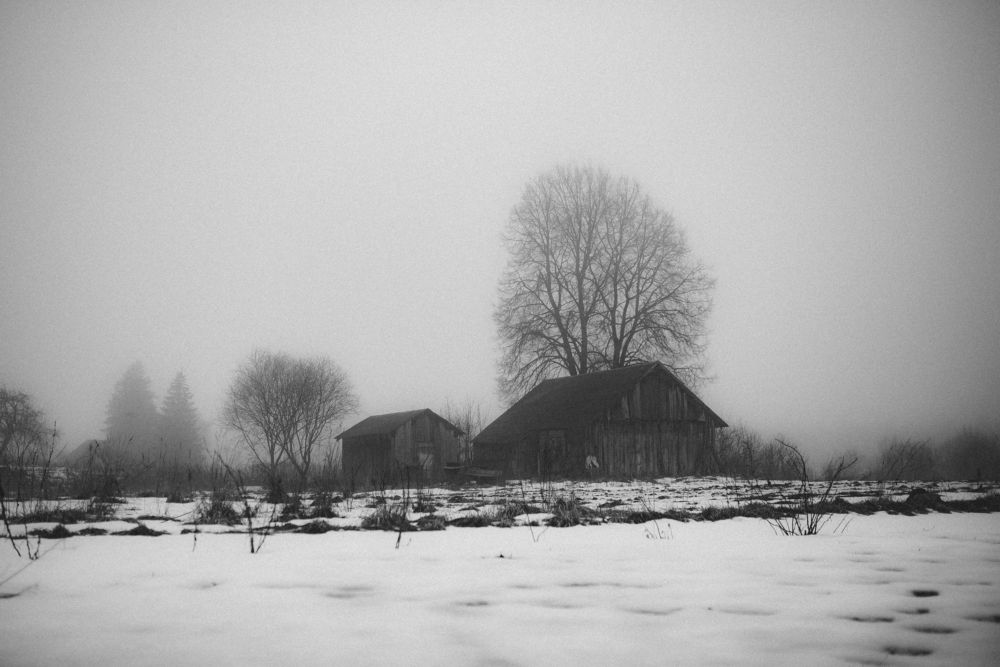 Photograph by Ольга Капустина