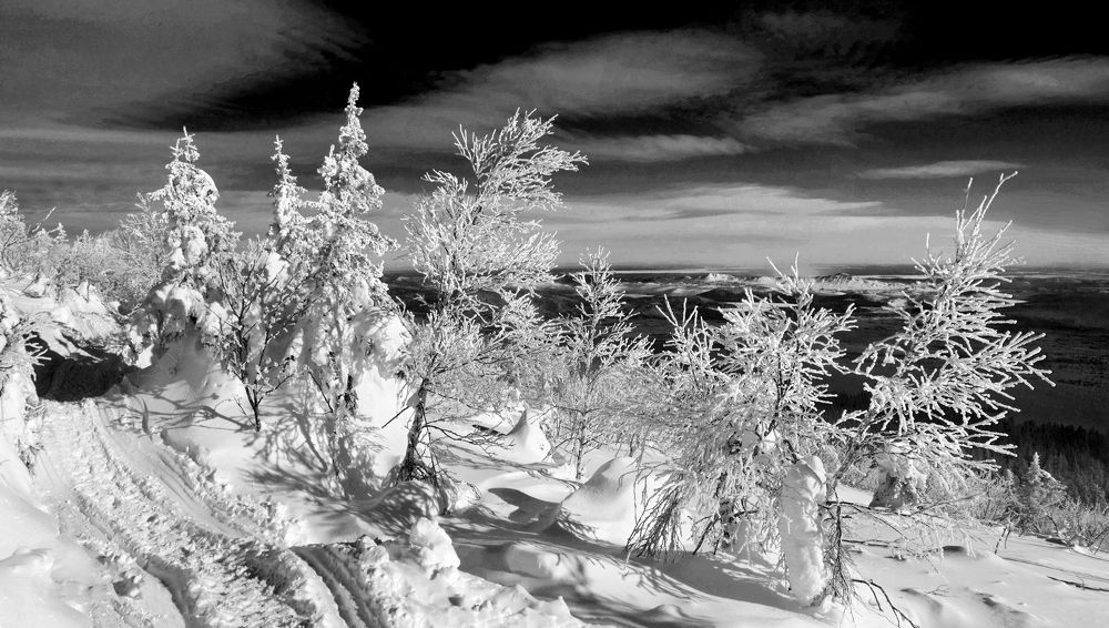 Фотография автора Кухта Мария