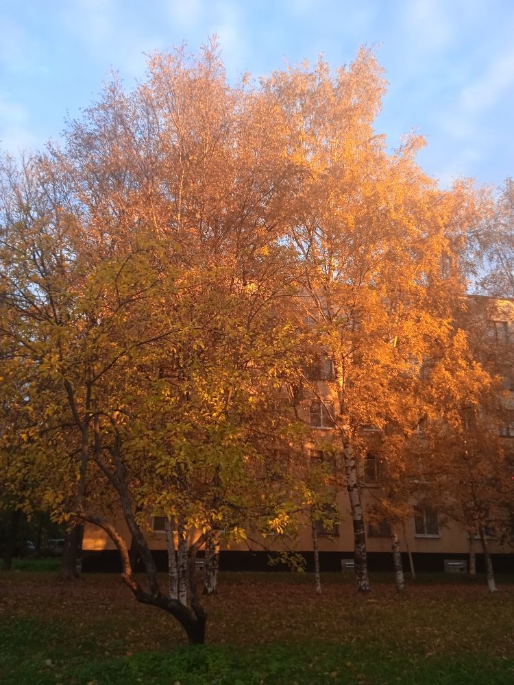 Photograph by Наталия Колемасова