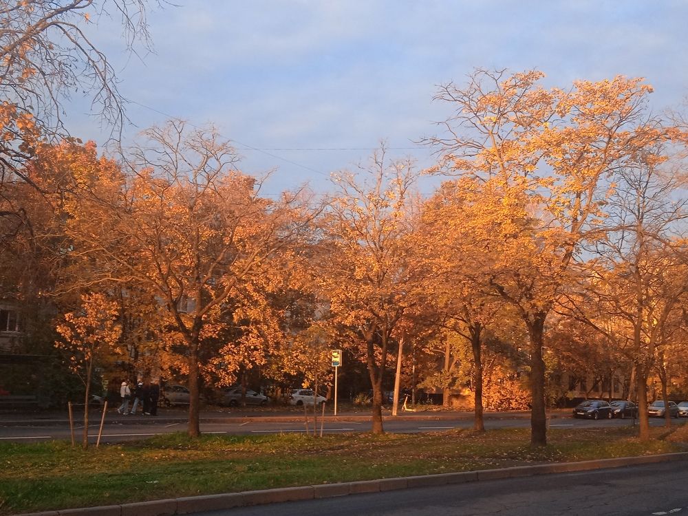 Photograph by Наталия Колемасова