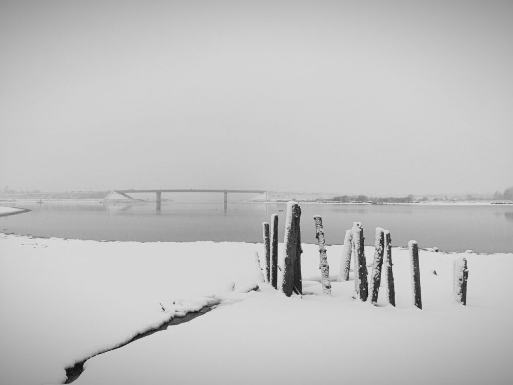 Photograph by Юлия Смирнова