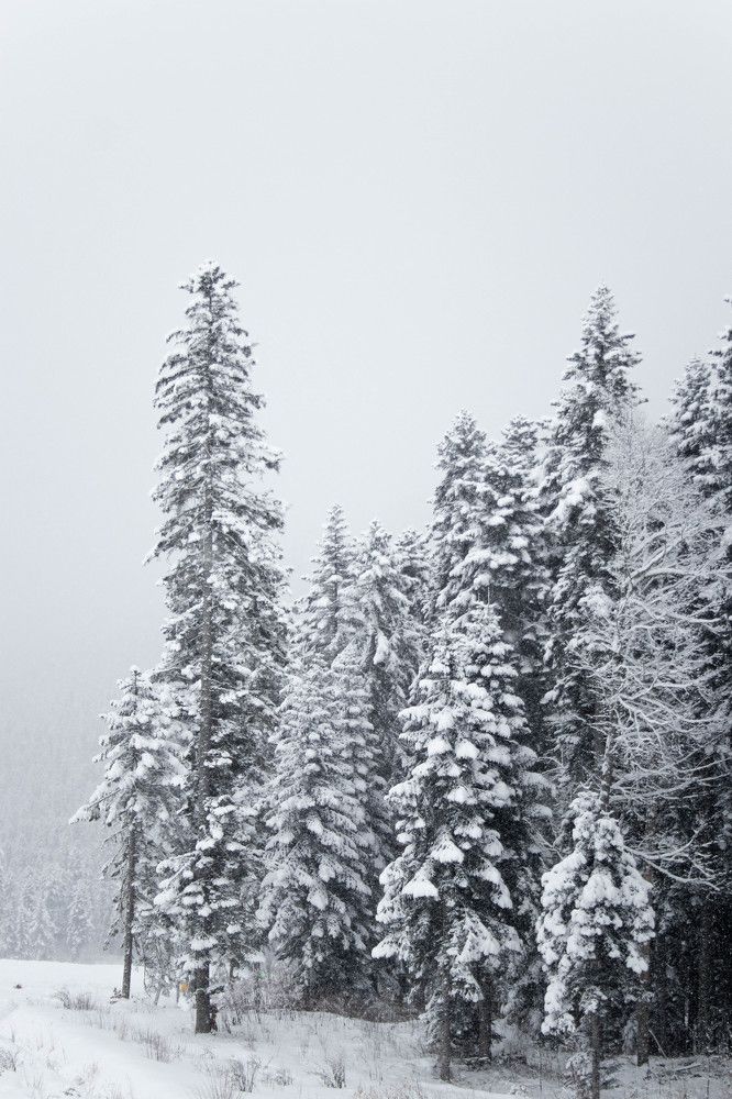 Photograph by Полина Голованова