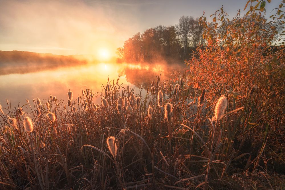 Photograph by Наталия Полякова