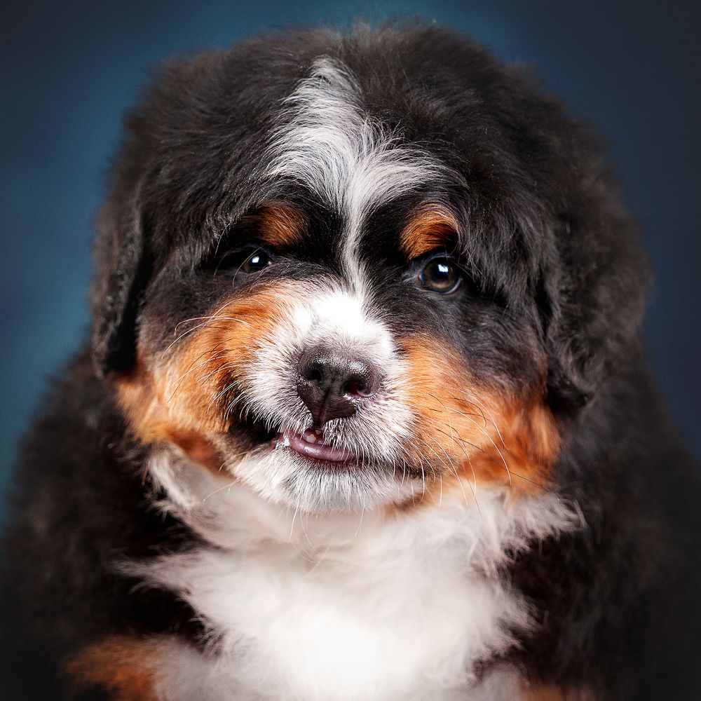 Фотография автора Оксана Серова