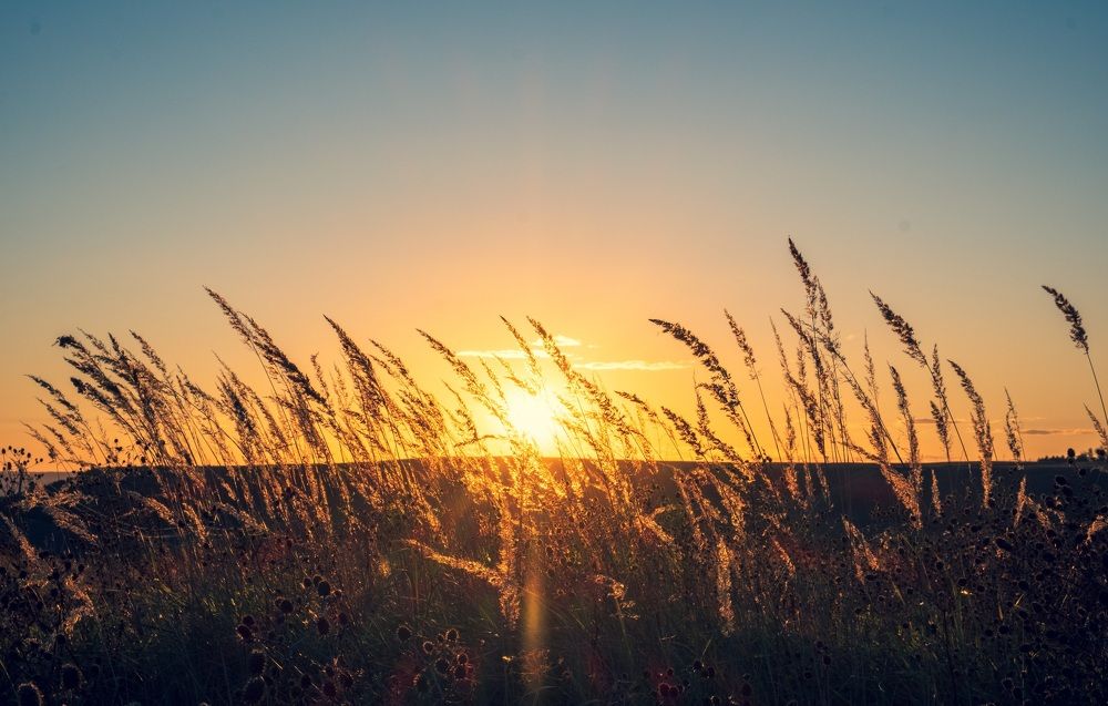 Photograph by Альберт Габбасов