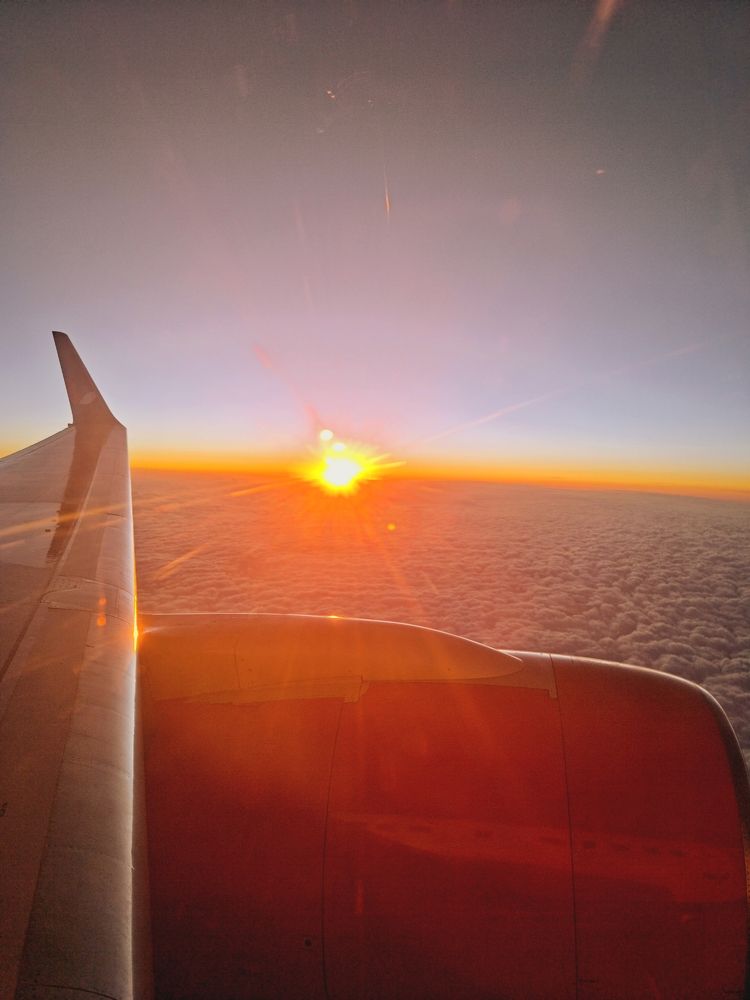 Photo #11511482