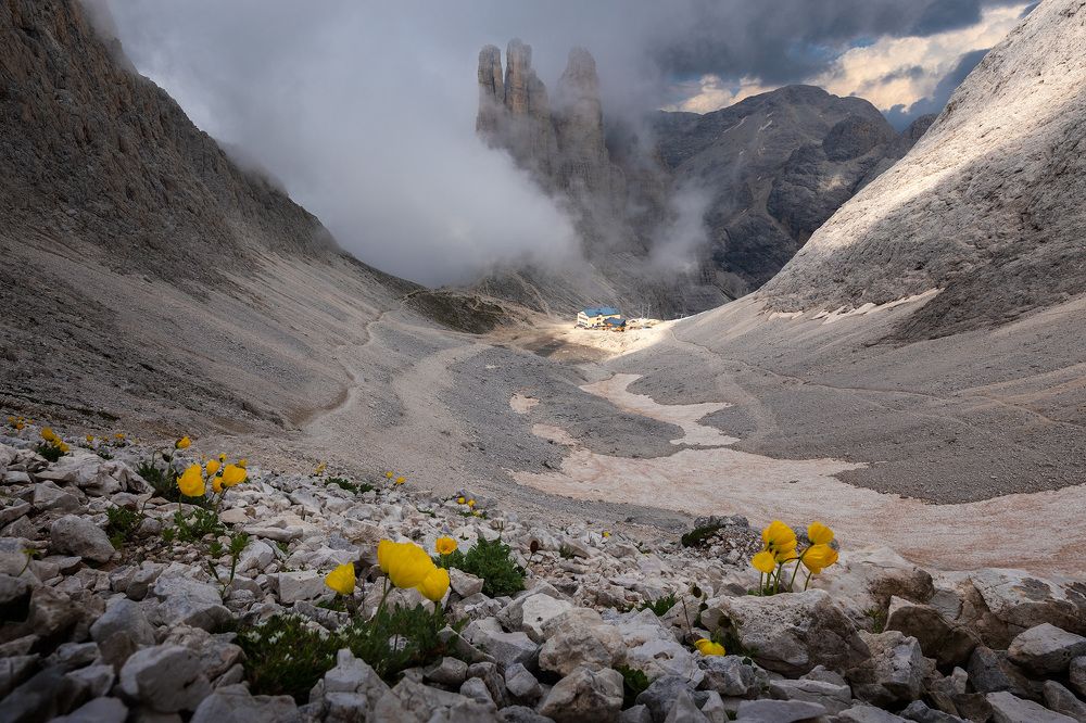 Фотография автора Daniel Knezevic