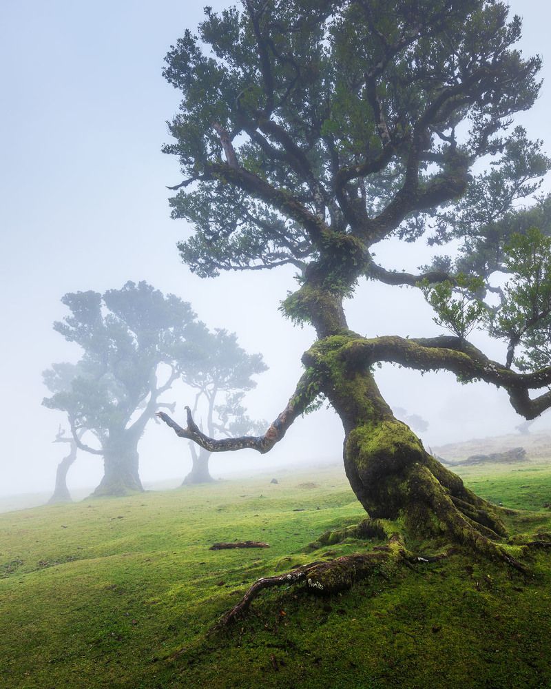 Фотография автора Daniel Knezevic