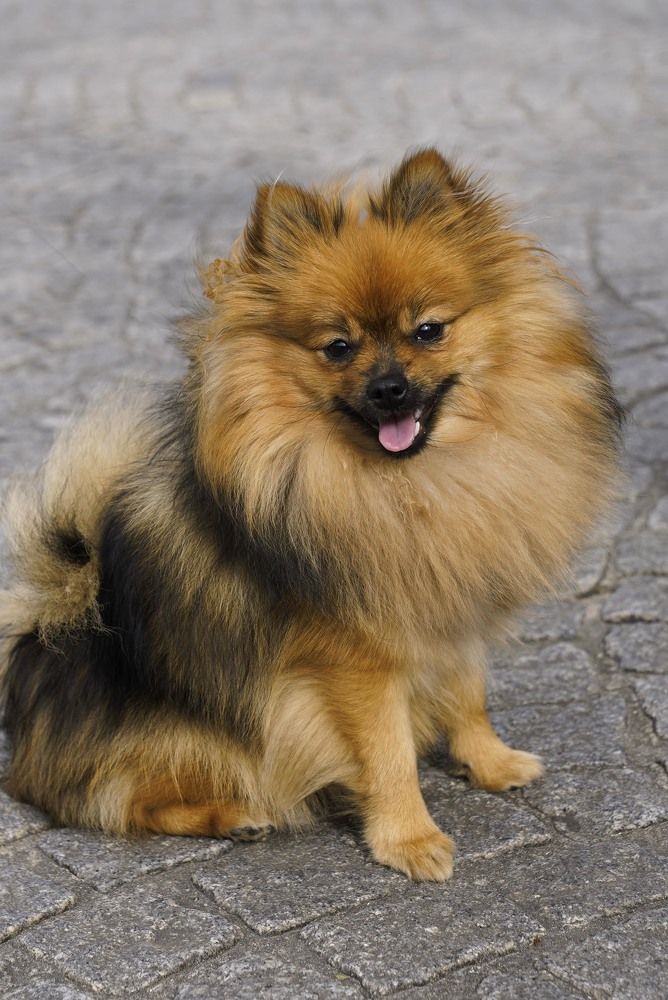 Photograph by Raed Victor Saad