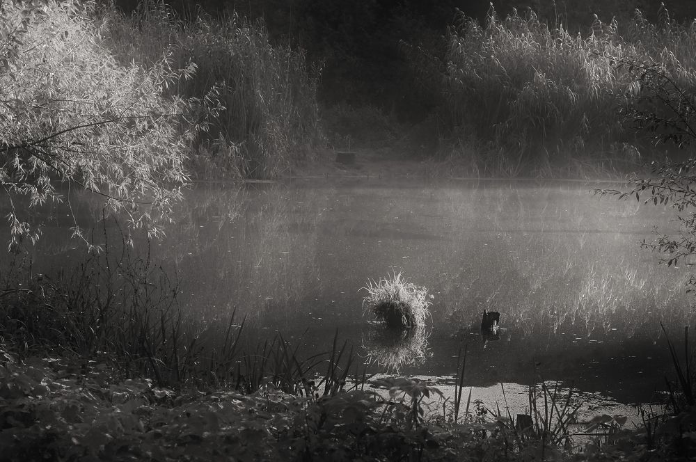 Фотография автора Панюшкин Владислав Владимирович
