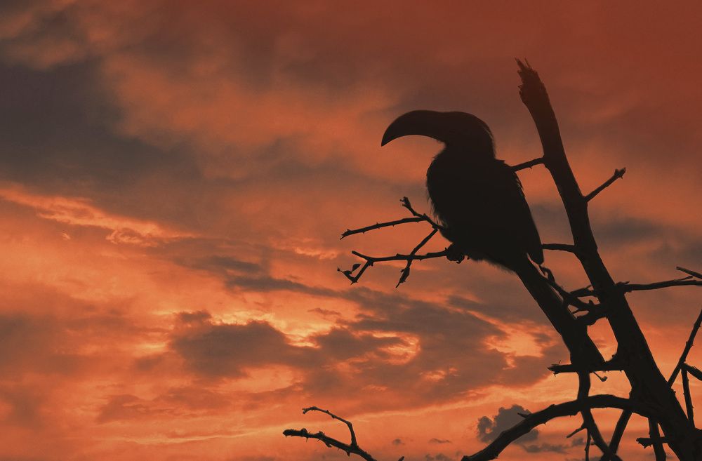 Photograph by Raed Victor Saad