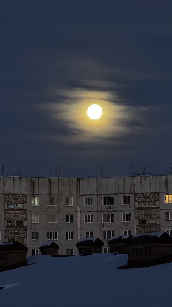 Утро в каменных джунглях