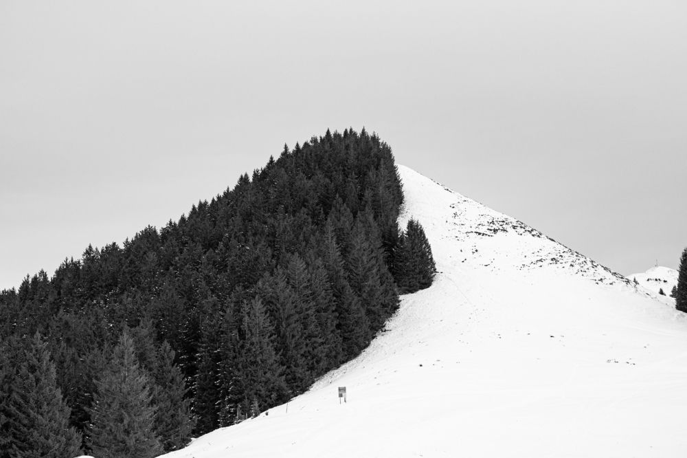 Photograph by Tatiana Aleksandrova