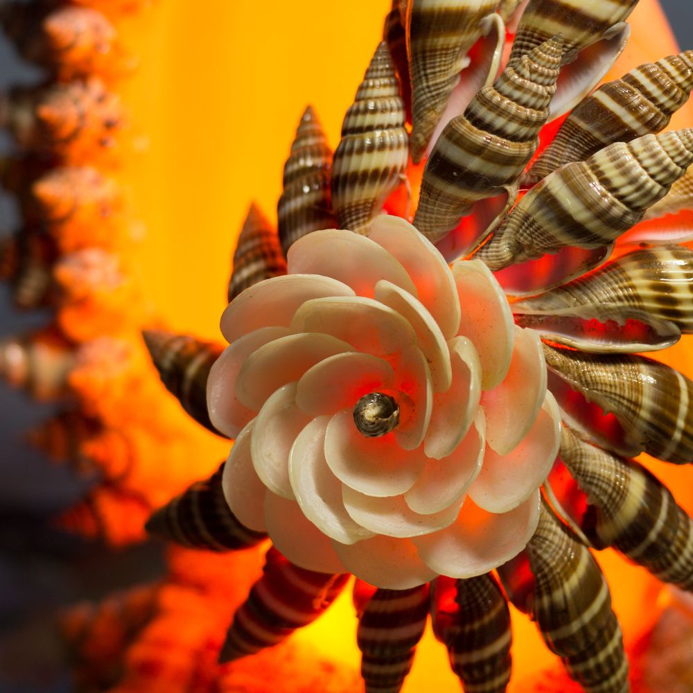 Фотография автора Дарья Рогозина