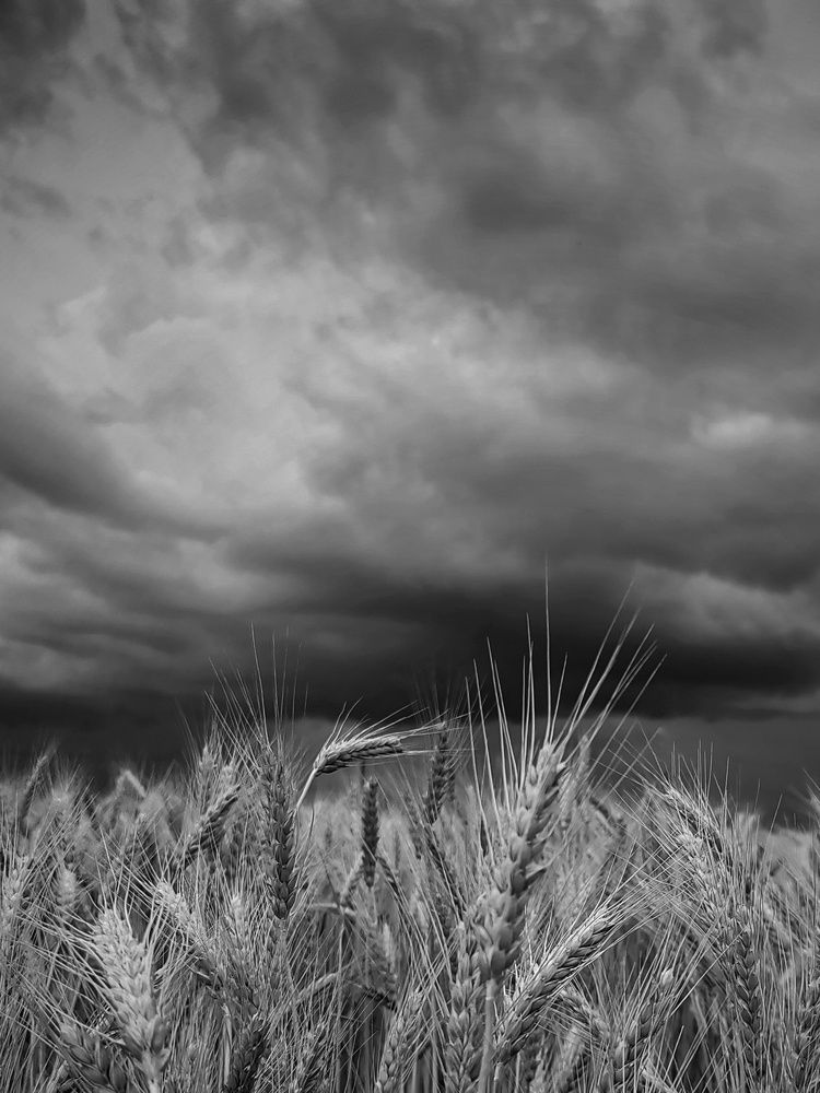 Photograph by Марина