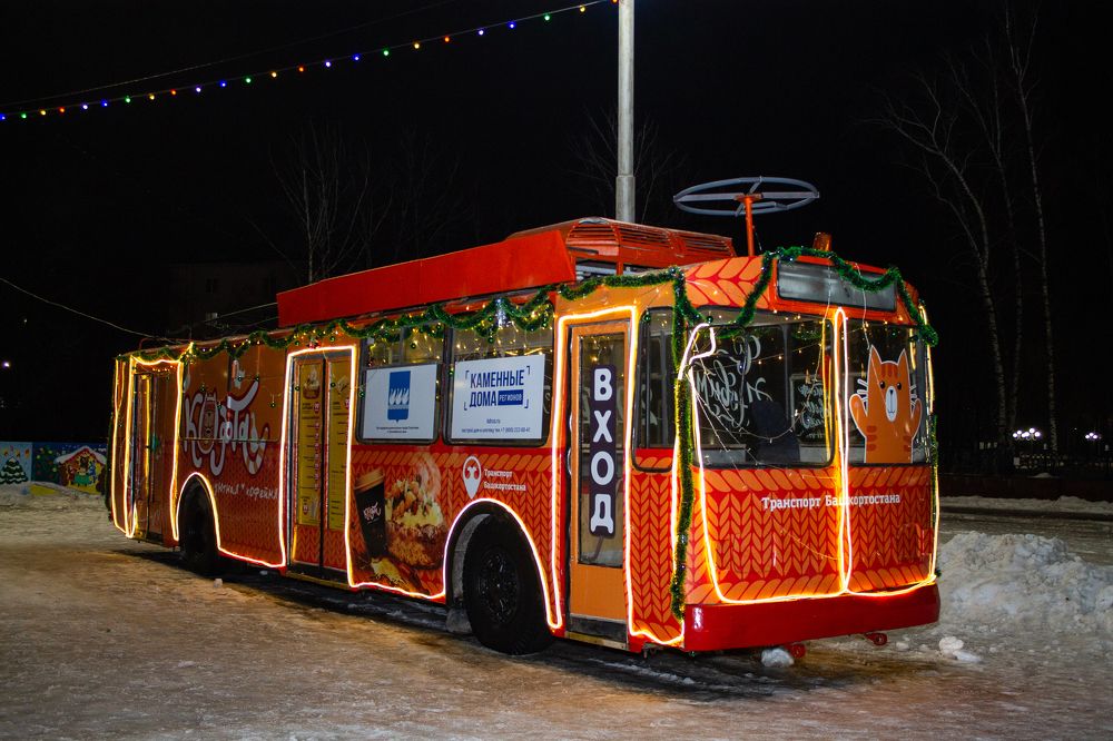 Фотография автора Дарья Рогозина