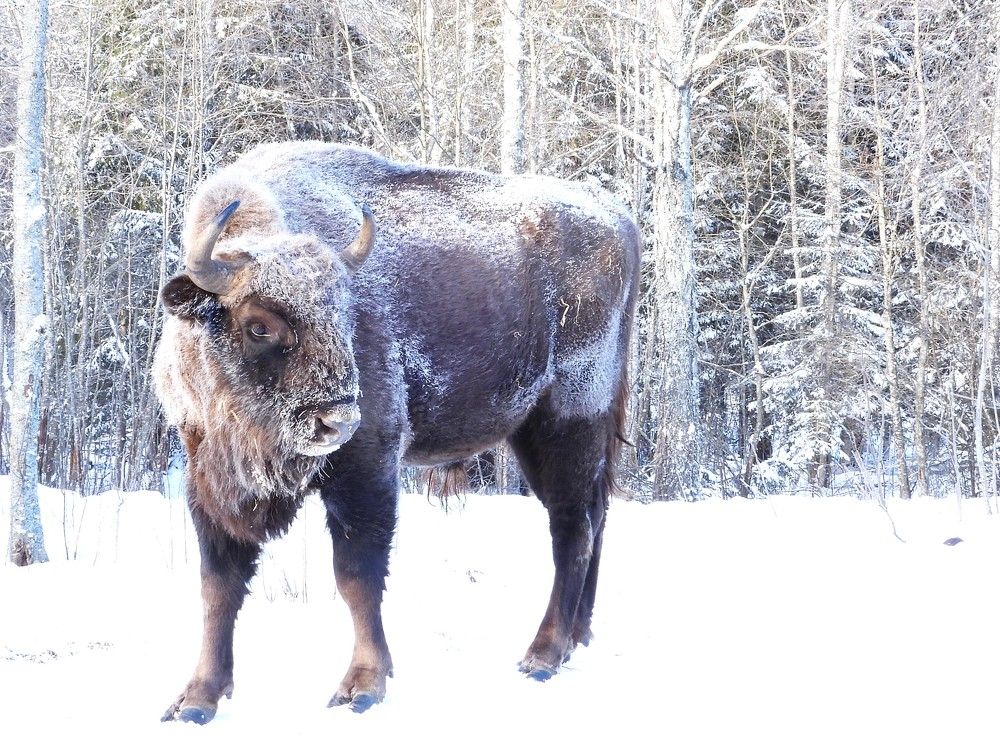 Photograph by Ольга Митрофанова