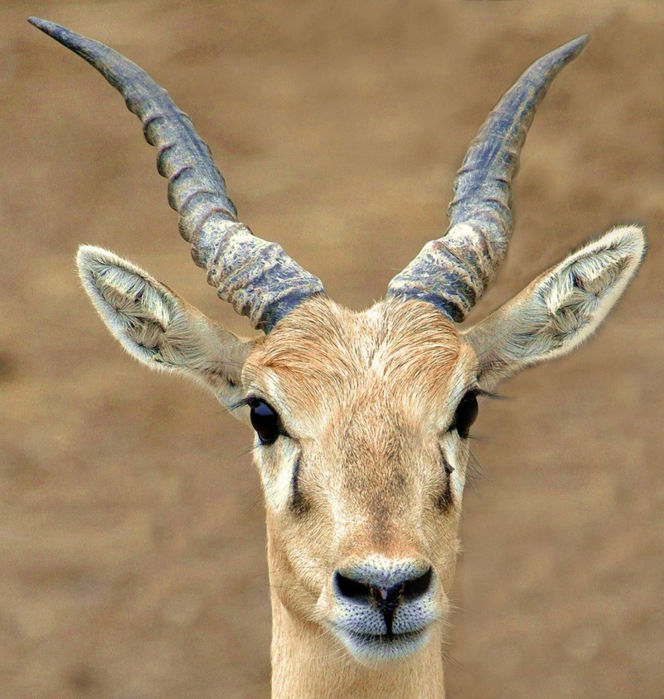 Photograph by Александр Каплан