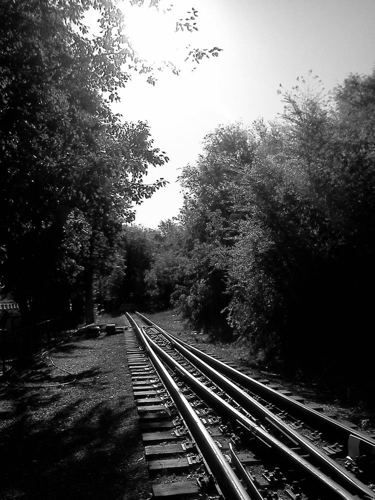 Photograph by карякина мария