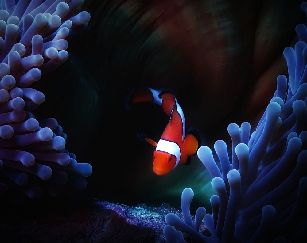 Photograph by Кирилл Леднев