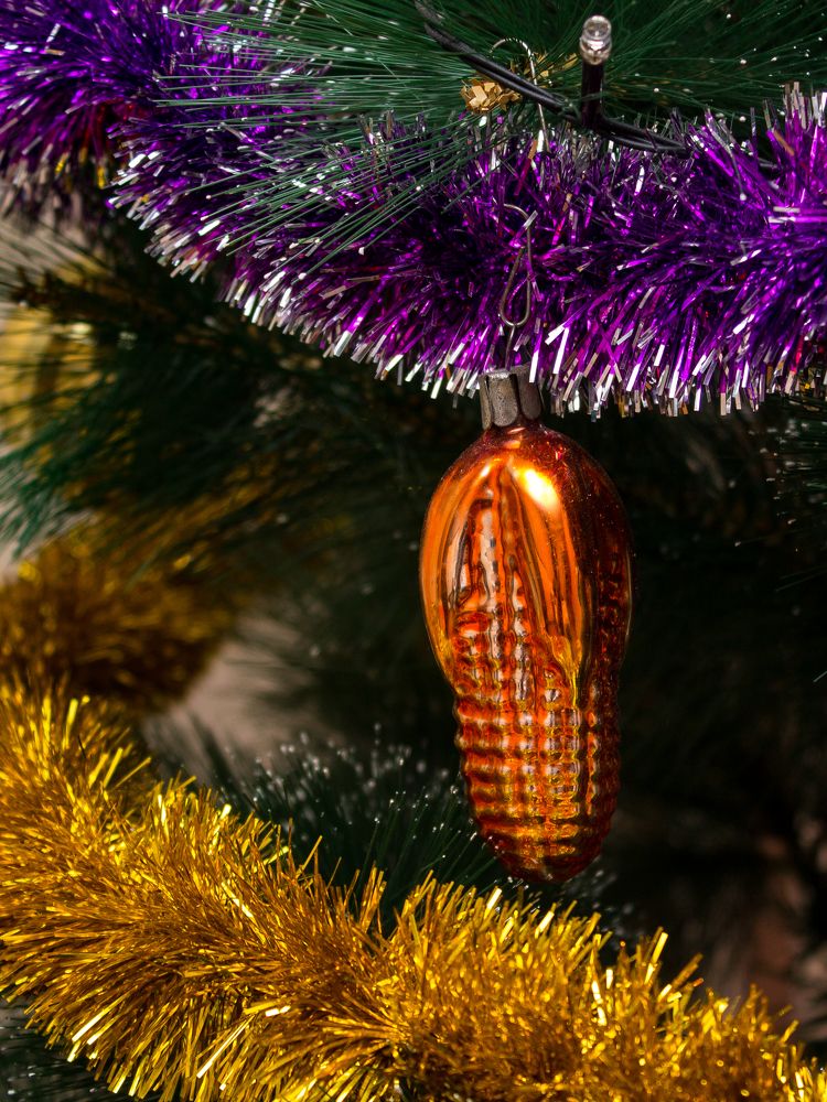 Фотография автора Дарья Рогозина