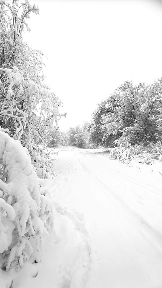 Фотография автора Наталья Алексеева