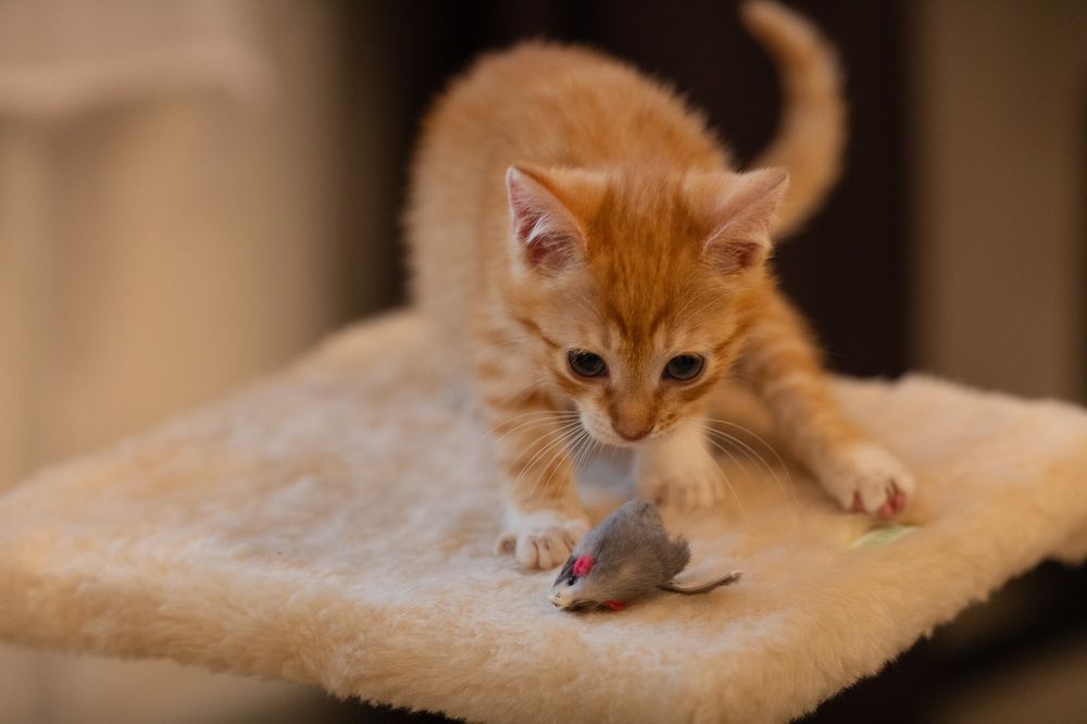 Photograph by Харитонова Ирина