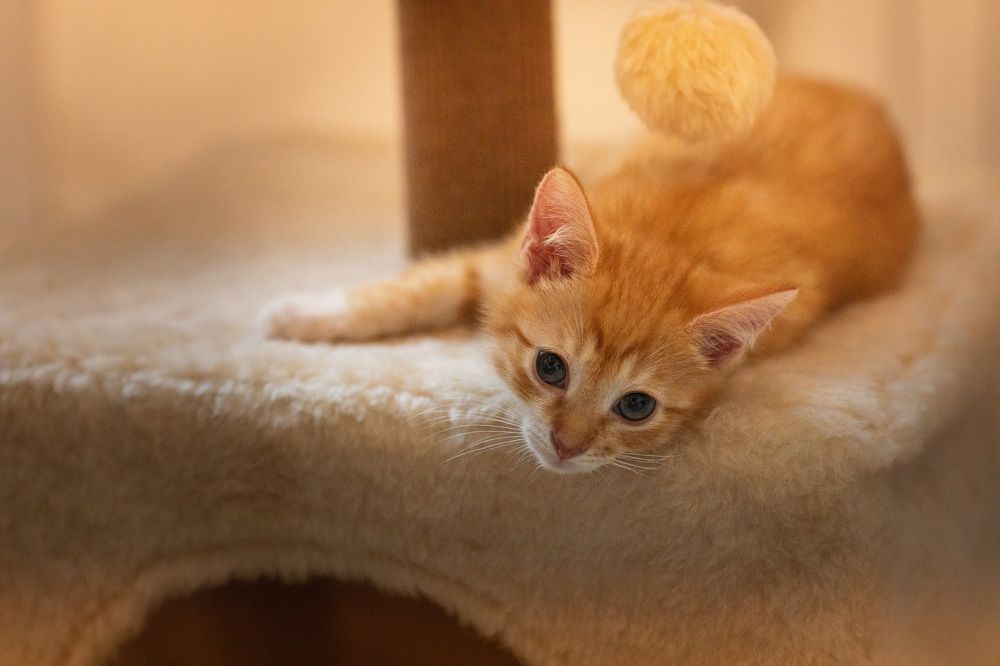 Photograph by Харитонова Ирина