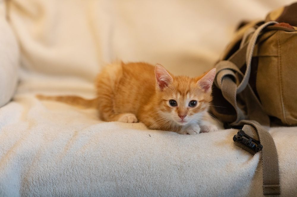 Photograph by Харитонова Ирина