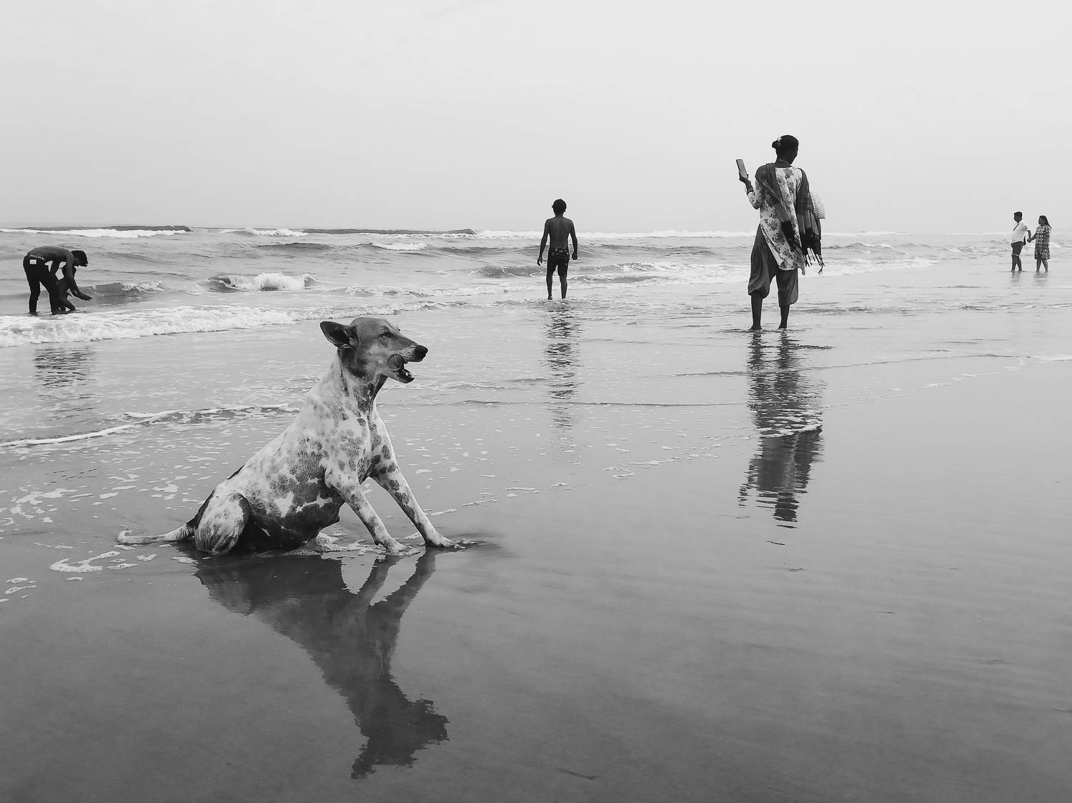 Beach Life