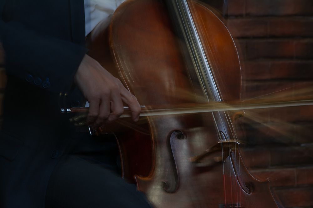 Photograph by Мария Елисеева