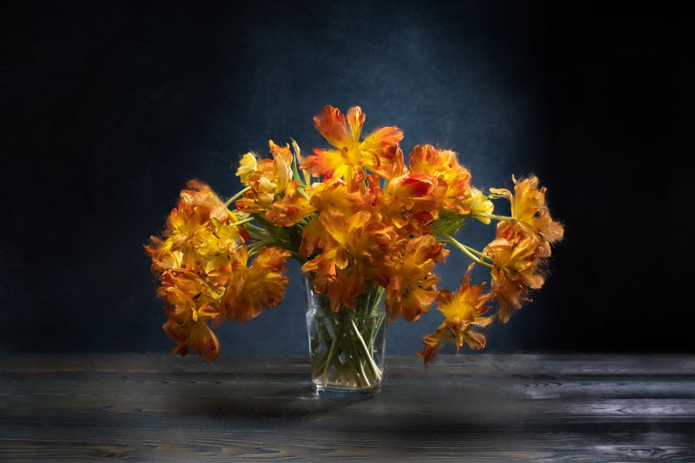 Photograph by Вячеслав Залитко