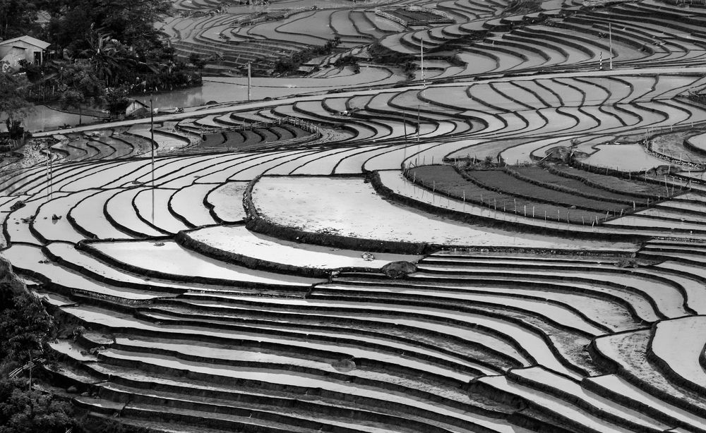 Фотография автора Quan Hung