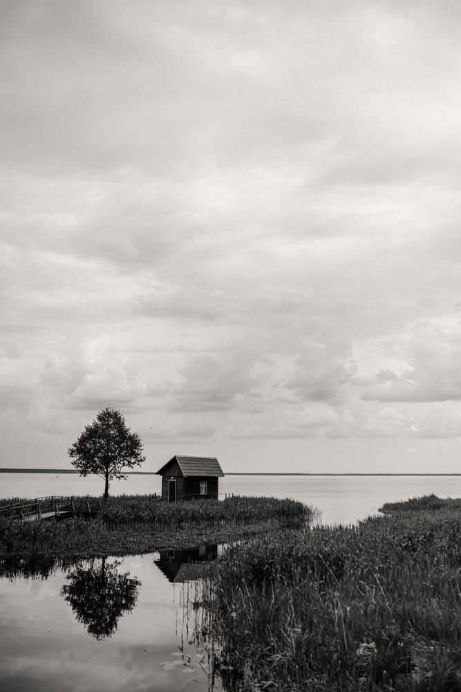 Photograph by Полина Веремейчук