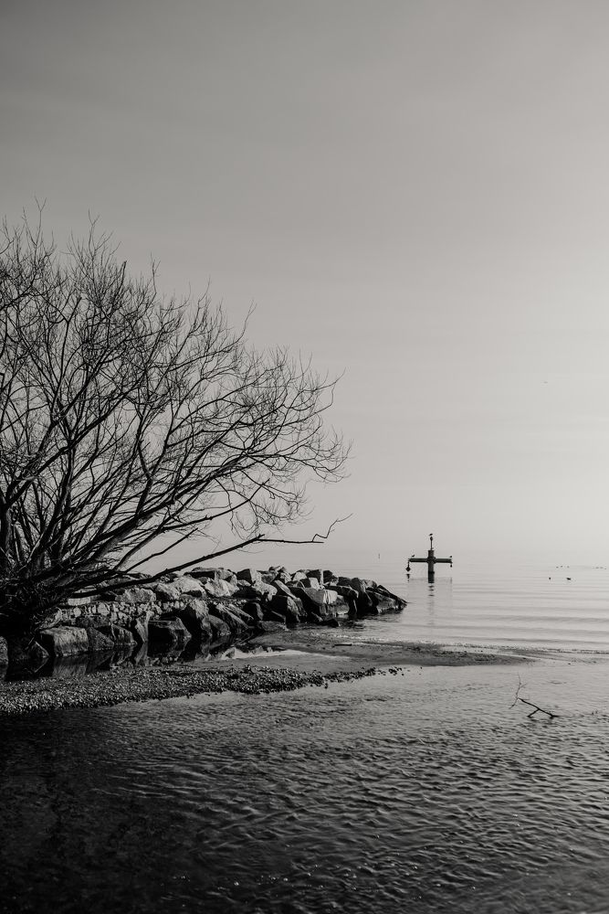 Photograph by Полина Веремейчук
