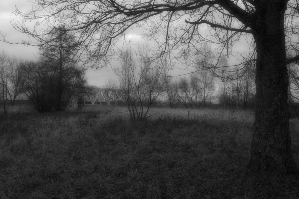 Photograph by Алексей Крукович