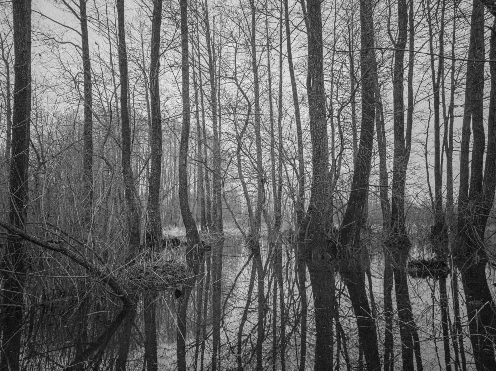 Photograph by Алексей Крукович